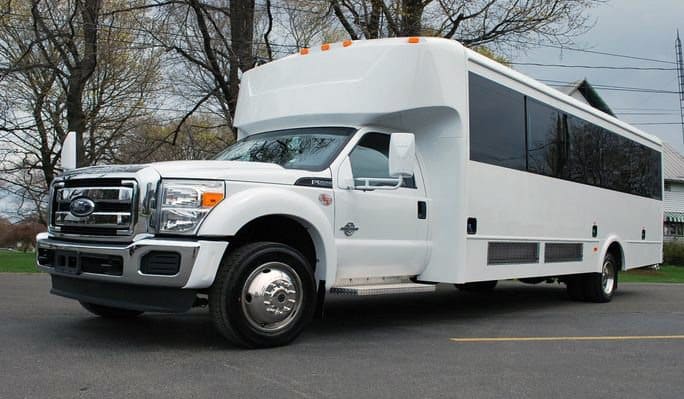 Addison 20 Passenger Party Bus